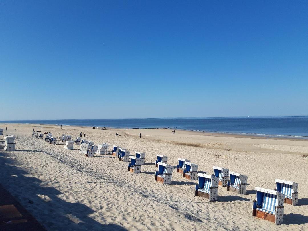 Nordmuschel In * Westerland